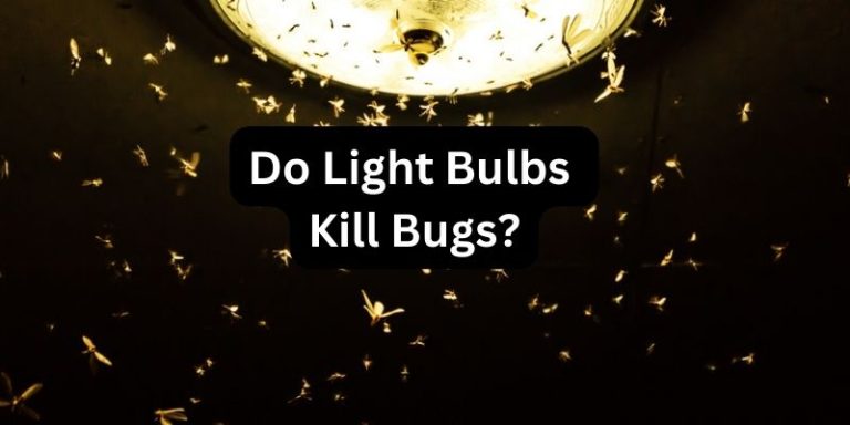 Do Light Bulbs Kill Bugs [UPDATED GUIDE]