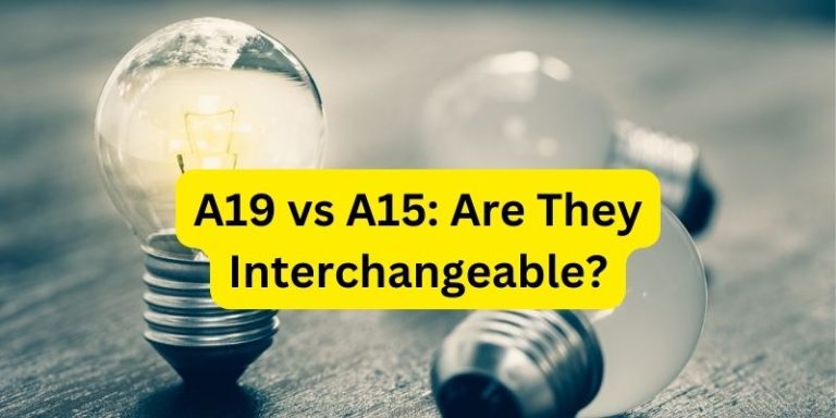 Unveiling Differences Between A19 Vs A15